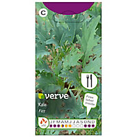 Verve Fizz kale Seed