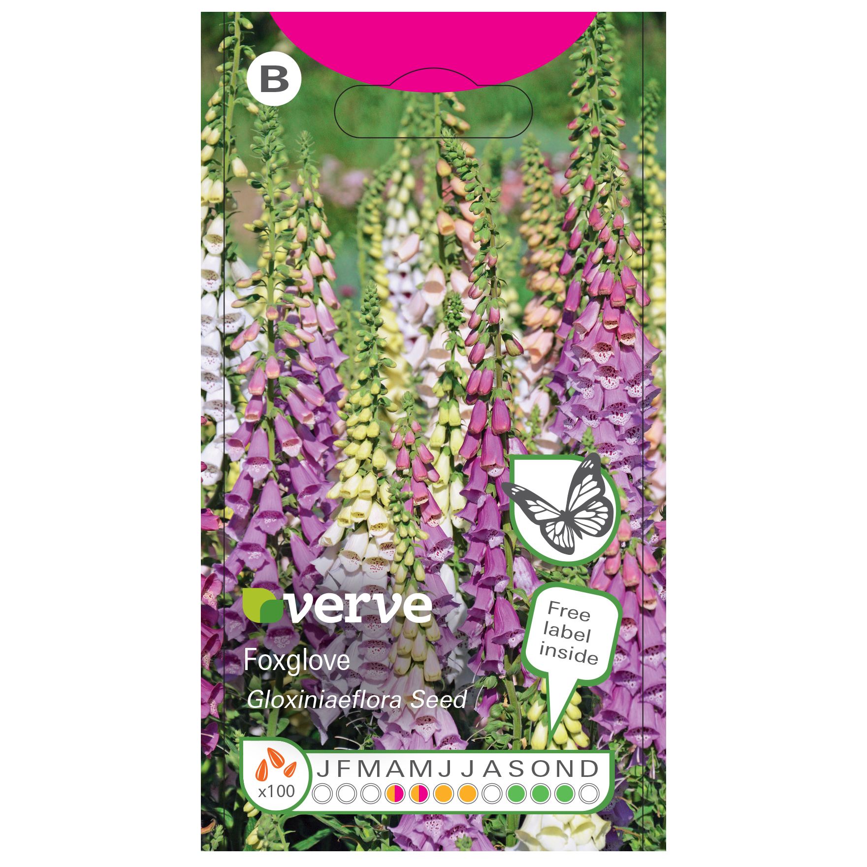 Verve Foxglove Seeds