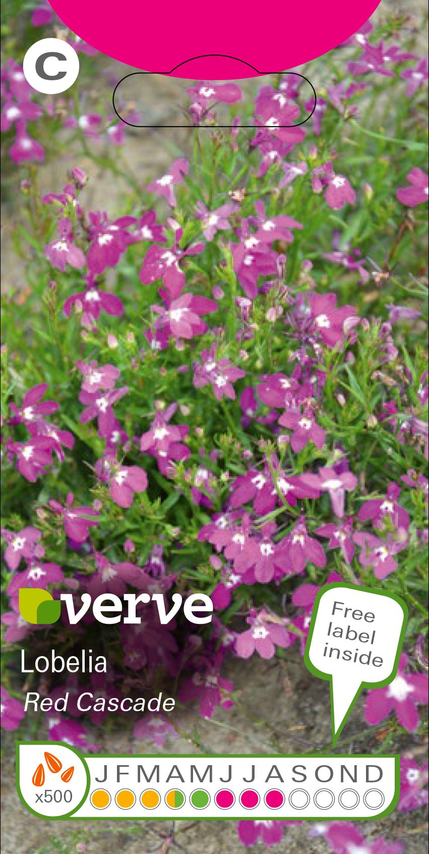 Verve Fuchsia Lobelia Seeds