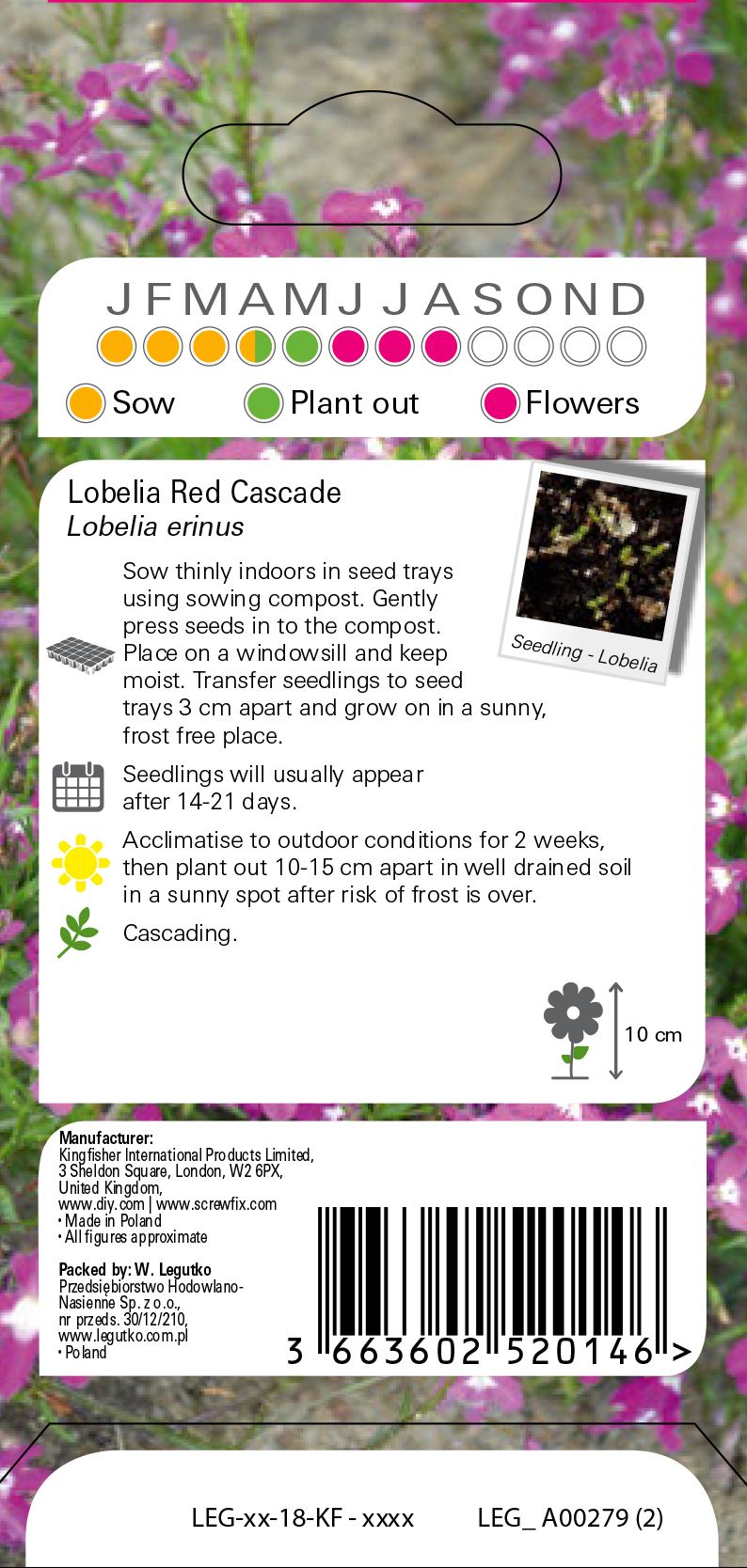 Verve Fuchsia Lobelia Seeds