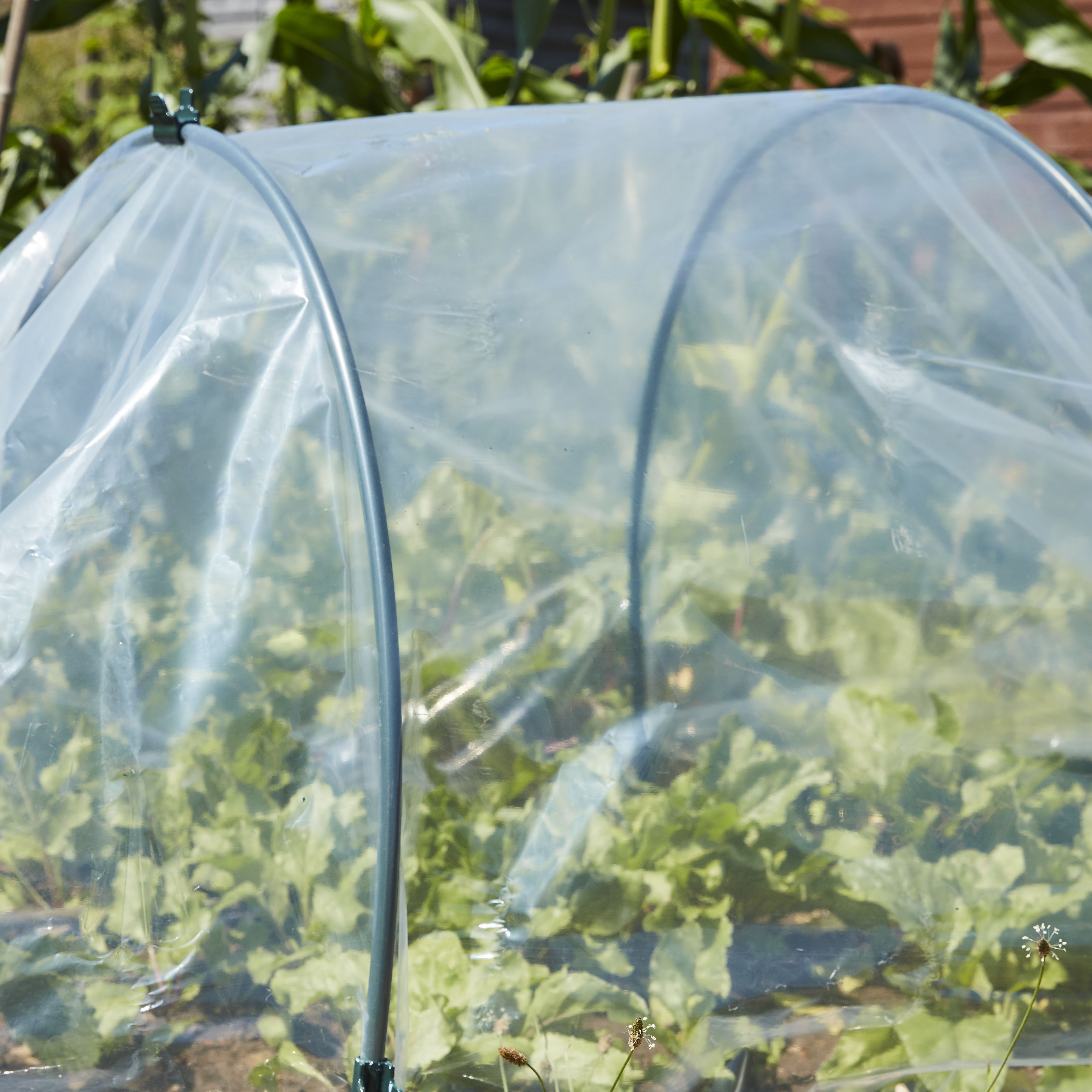 Verve Garden cover