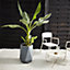 Verve Gardon Light grey Fibreclay Hexagonal Plant pot (Dia)40cm