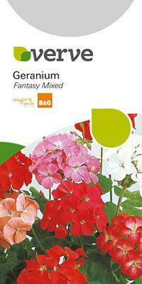 Verve Geranium Seed