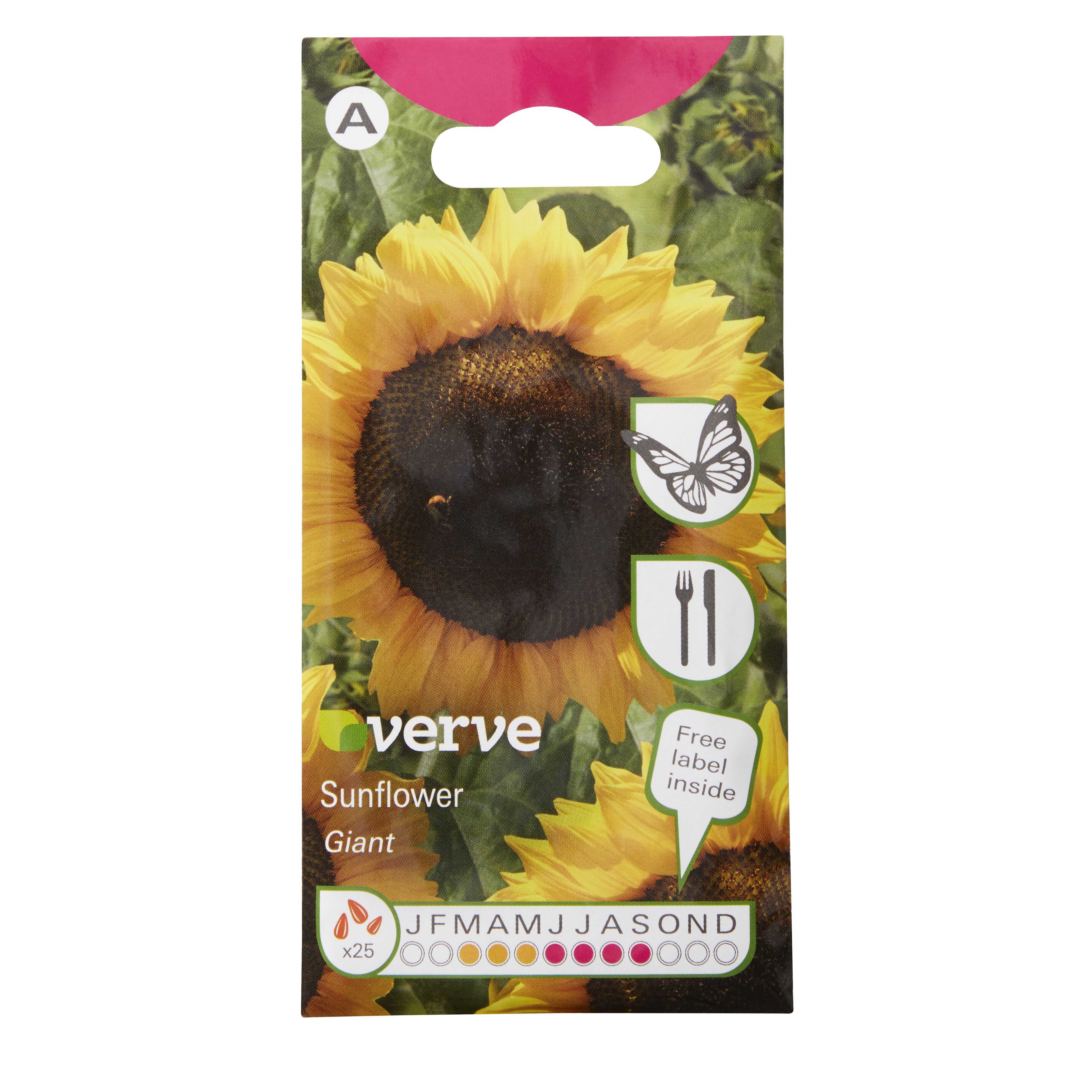 Verve Giant Sunflower Seeds