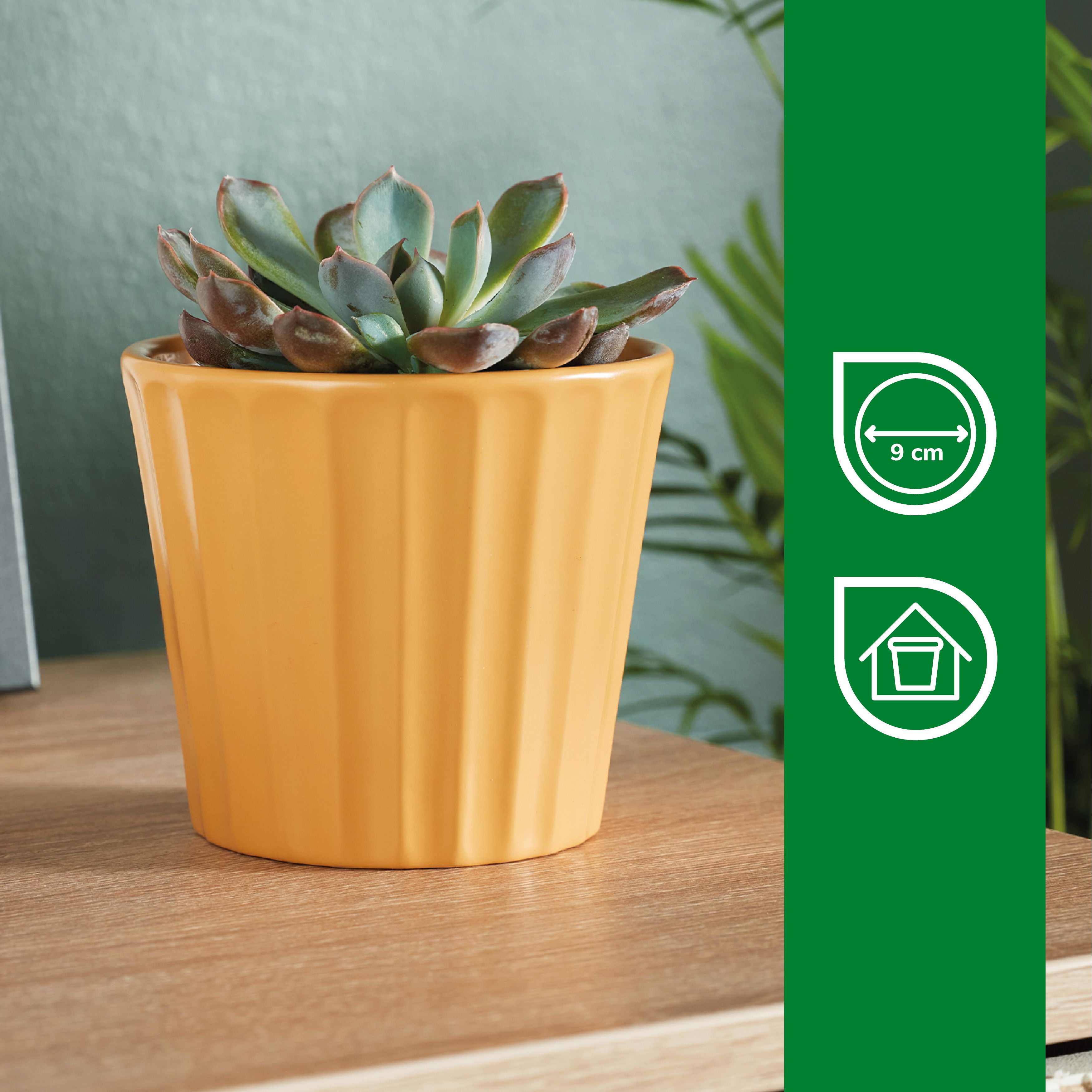 Verve Golden Apricot Yellow Ribbed Clay Plant pot (Dia) 11cm, (H)10cm