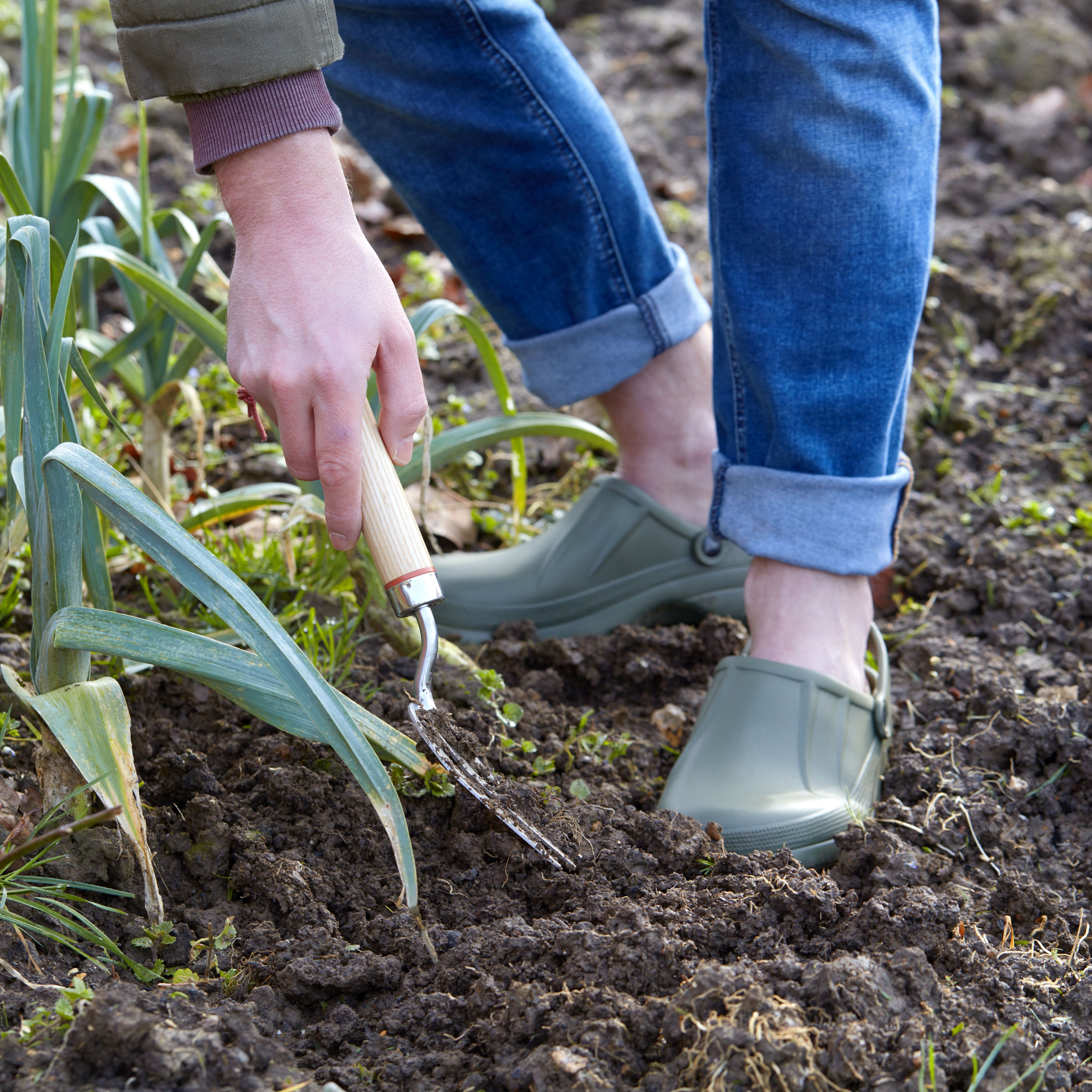 Garden on sale clogs argos