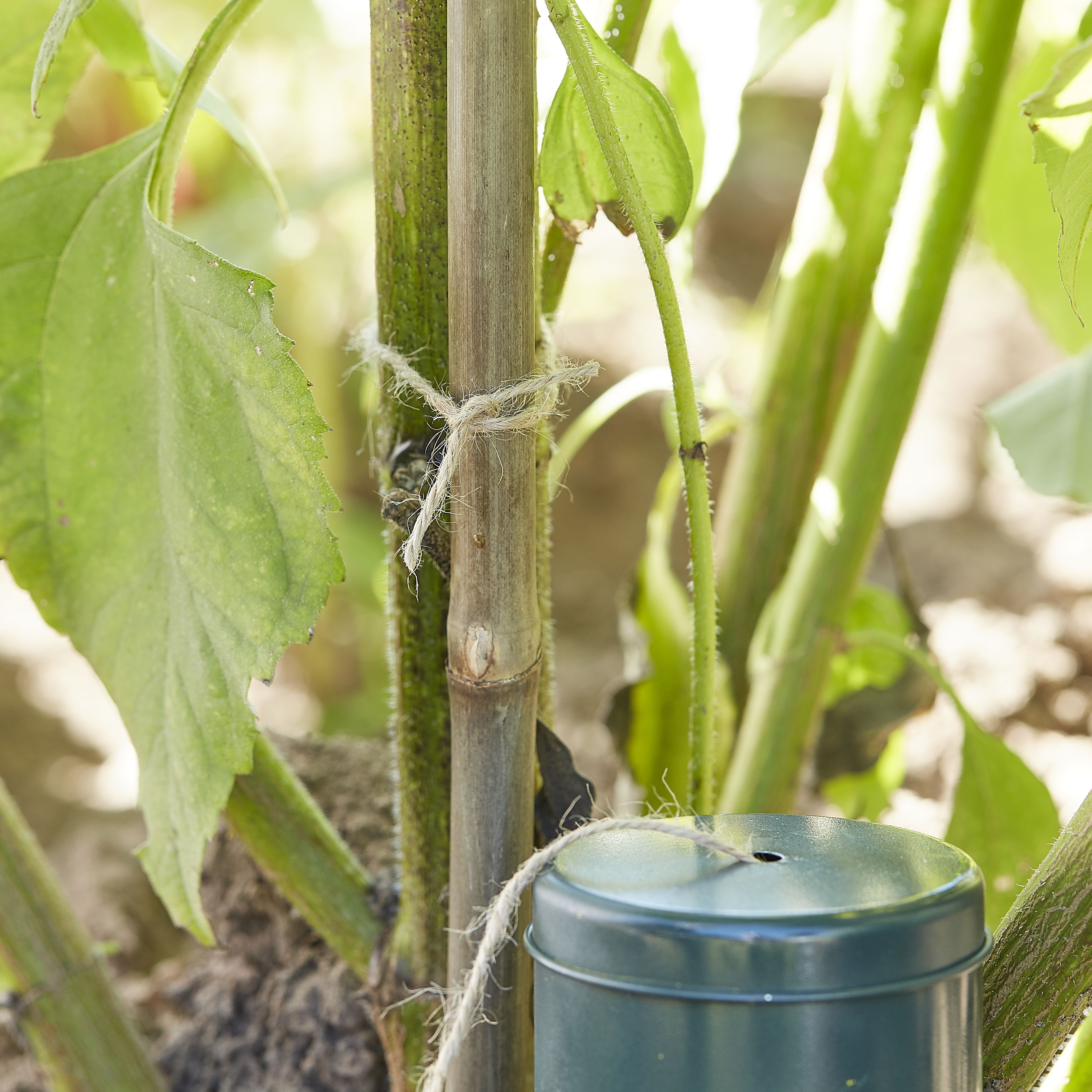 Verve Green Jute & steel Plant tie