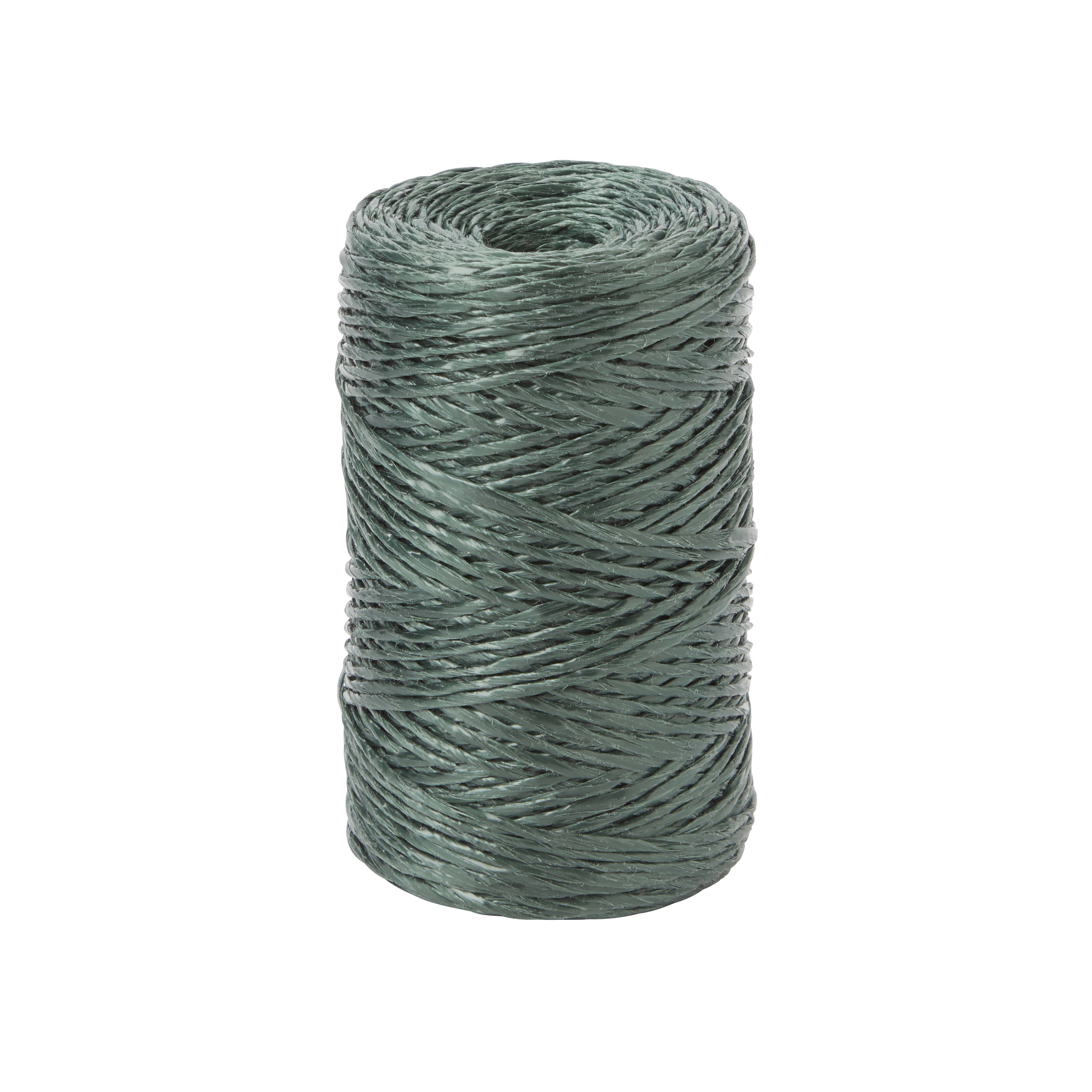 Verve Green Plastic Plant tie (L)20000cm