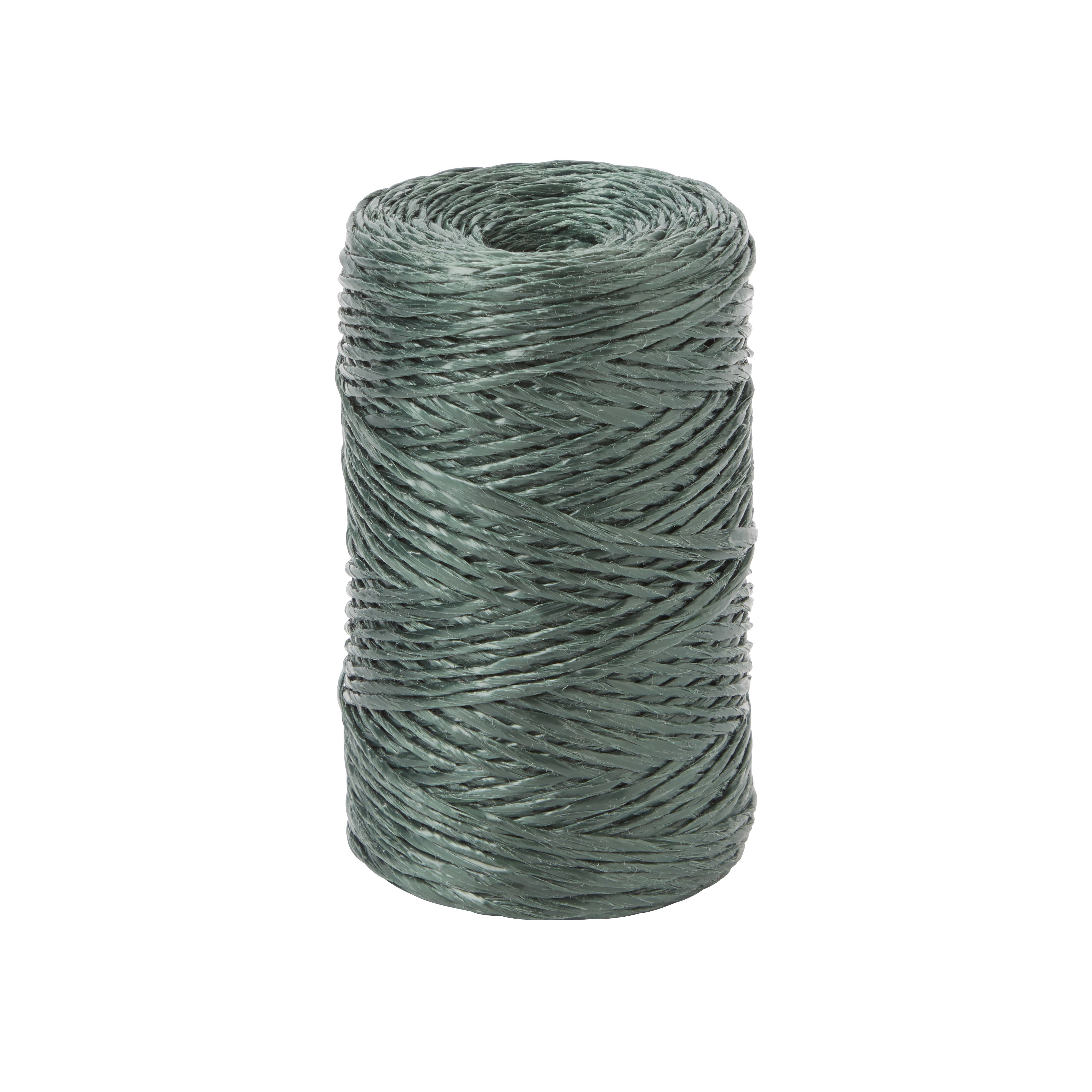 Verve Green Plastic Plant tie (L)200m