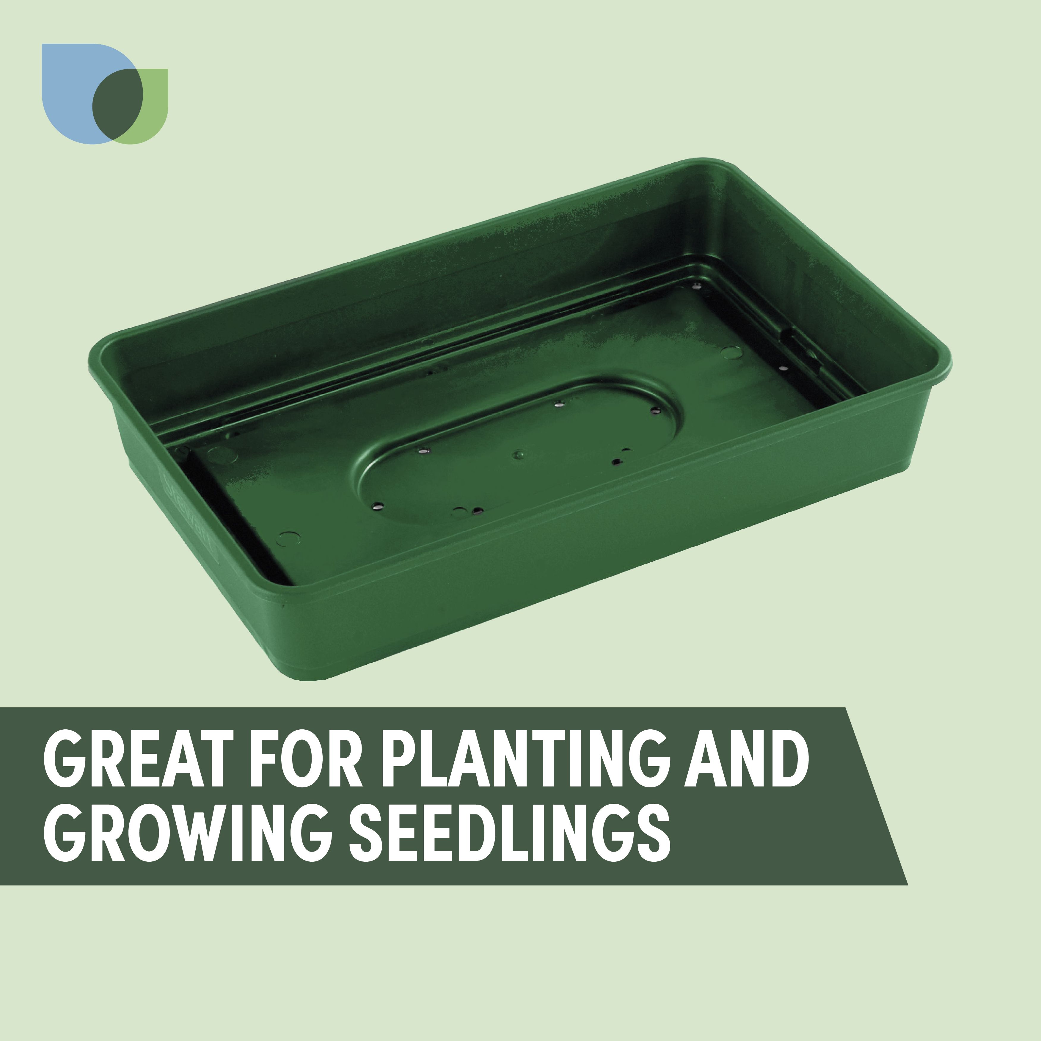 Verve Green Seed Tray 380mm