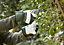 Verve Green & white Gardening gloves X Large, Pair