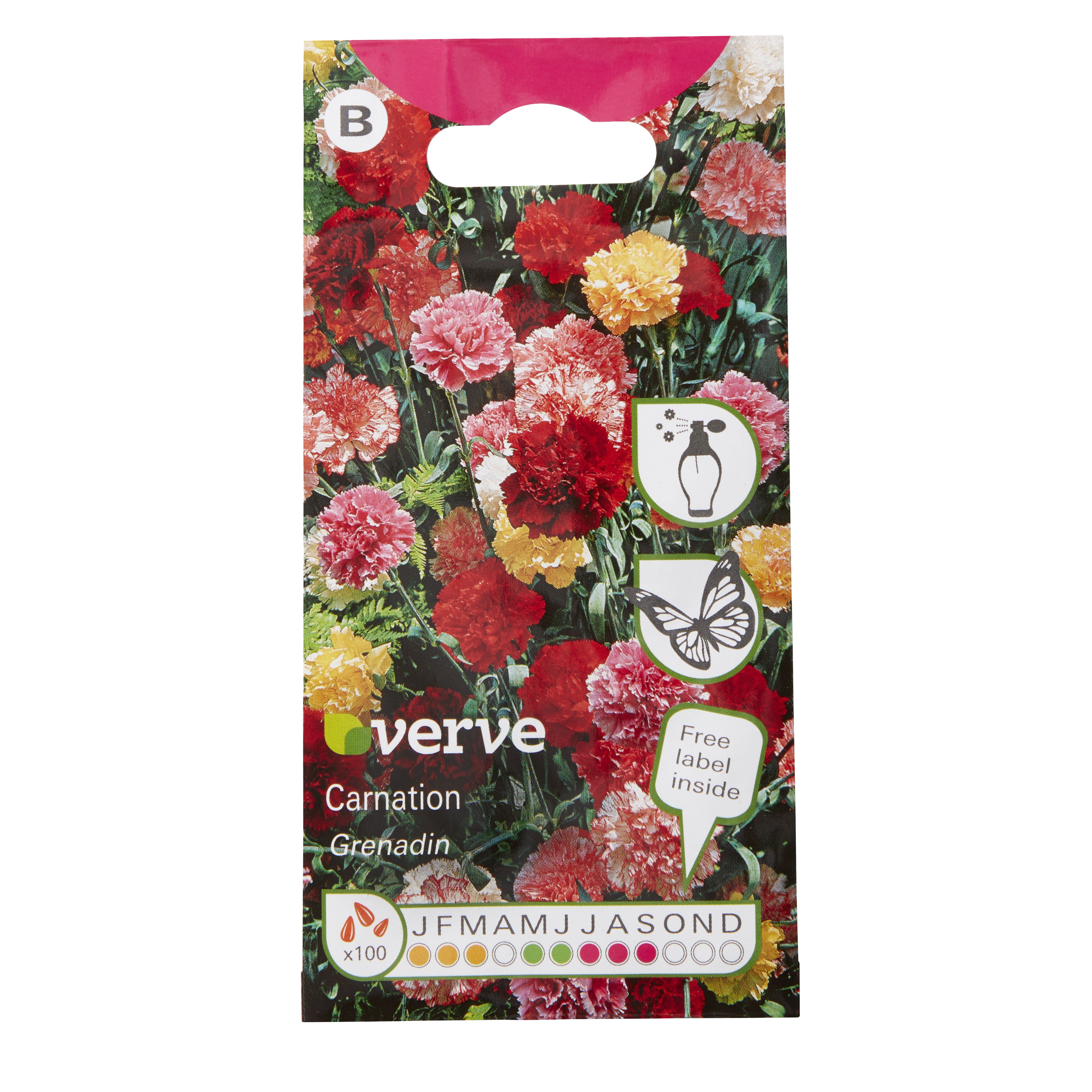 Verve Grenadin Carnation Seeds