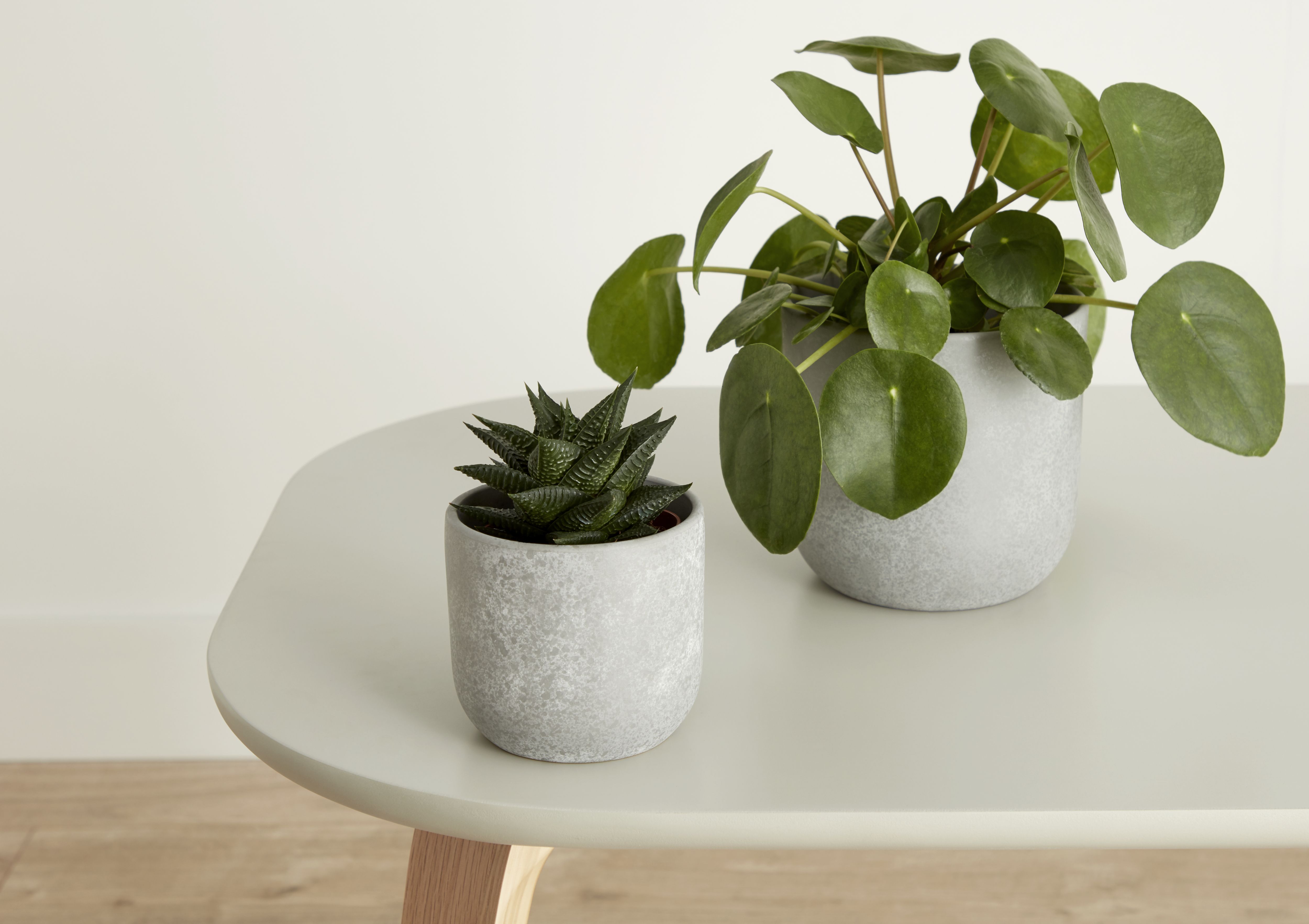 Verve Grey Speckle Concrete Plant pot (Dia) 10.4cm, (H)9.5cm, 500ml