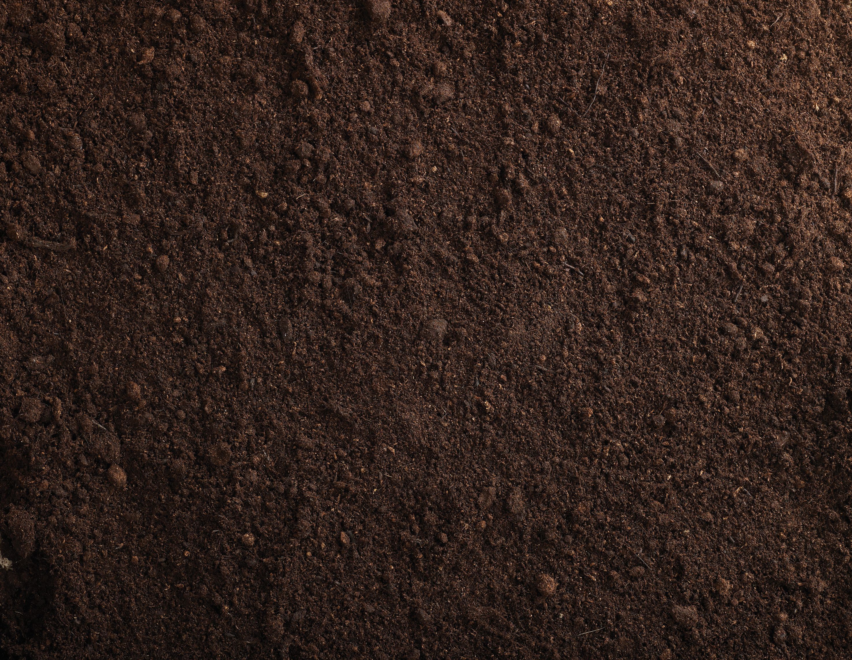 Verve Growing Media Peat-free Beds, borders & pots Compost 600L