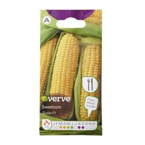 Verve Gucio F1 sweetcorn Vegetable Seeds