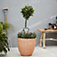 Verve Gudenå Natural Terracotta Honeycomb Circular Plant pot (Dia)32cm