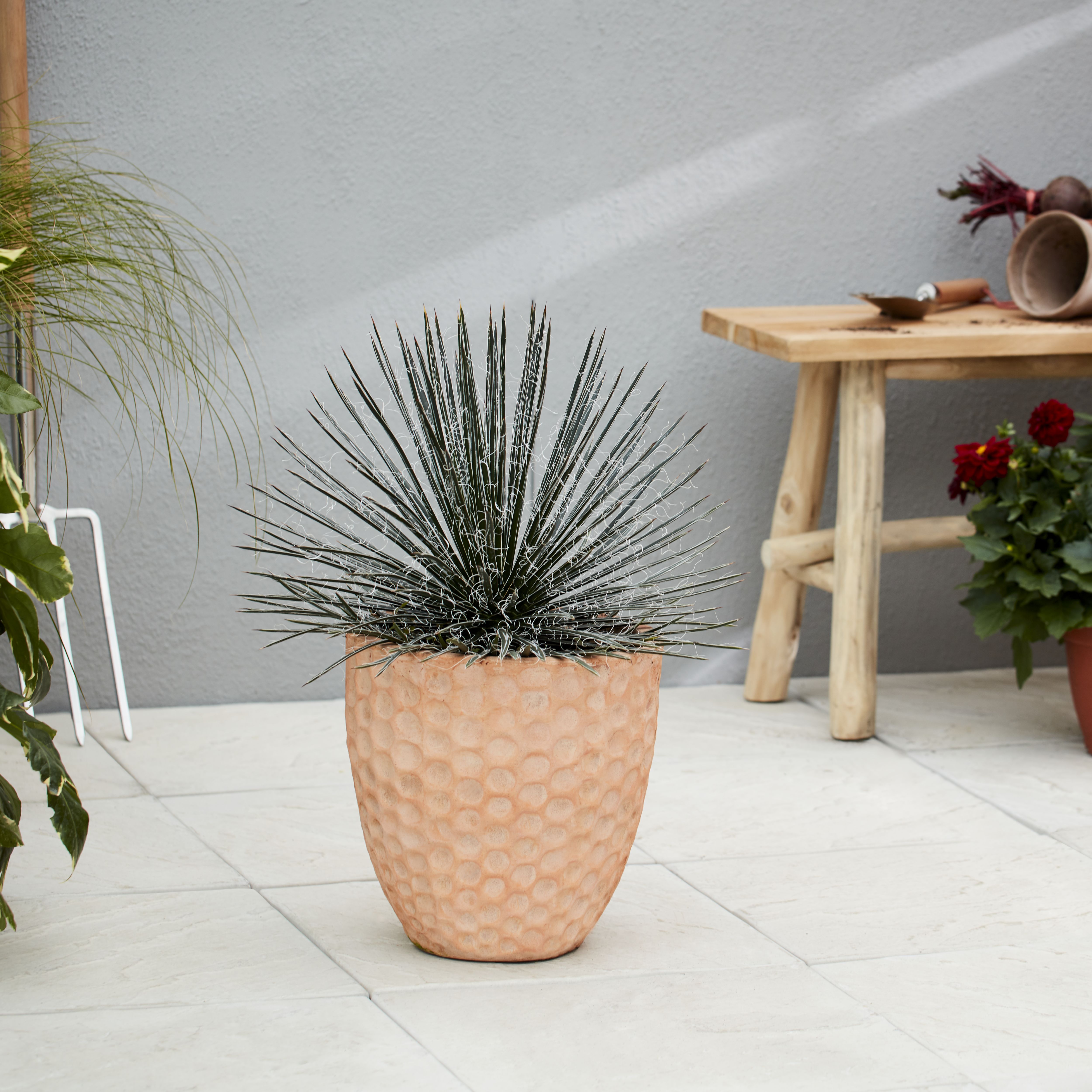 Verve Gudenå Natural Terracotta Honeycomb Circular Plant pot (Dia) 42cm, (H)42cm, 51L