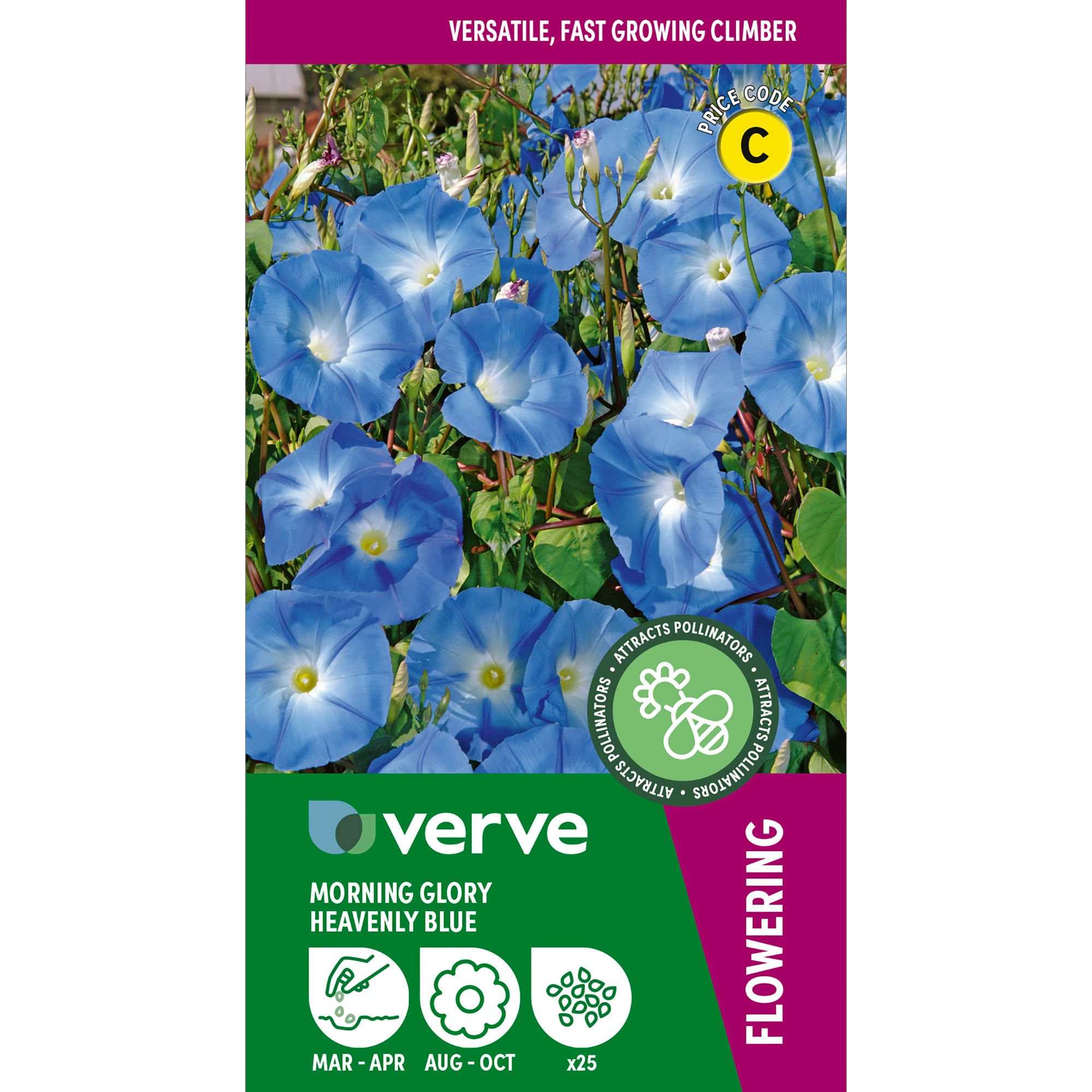 Verve Heavenly Blue Morning Glory Seeds