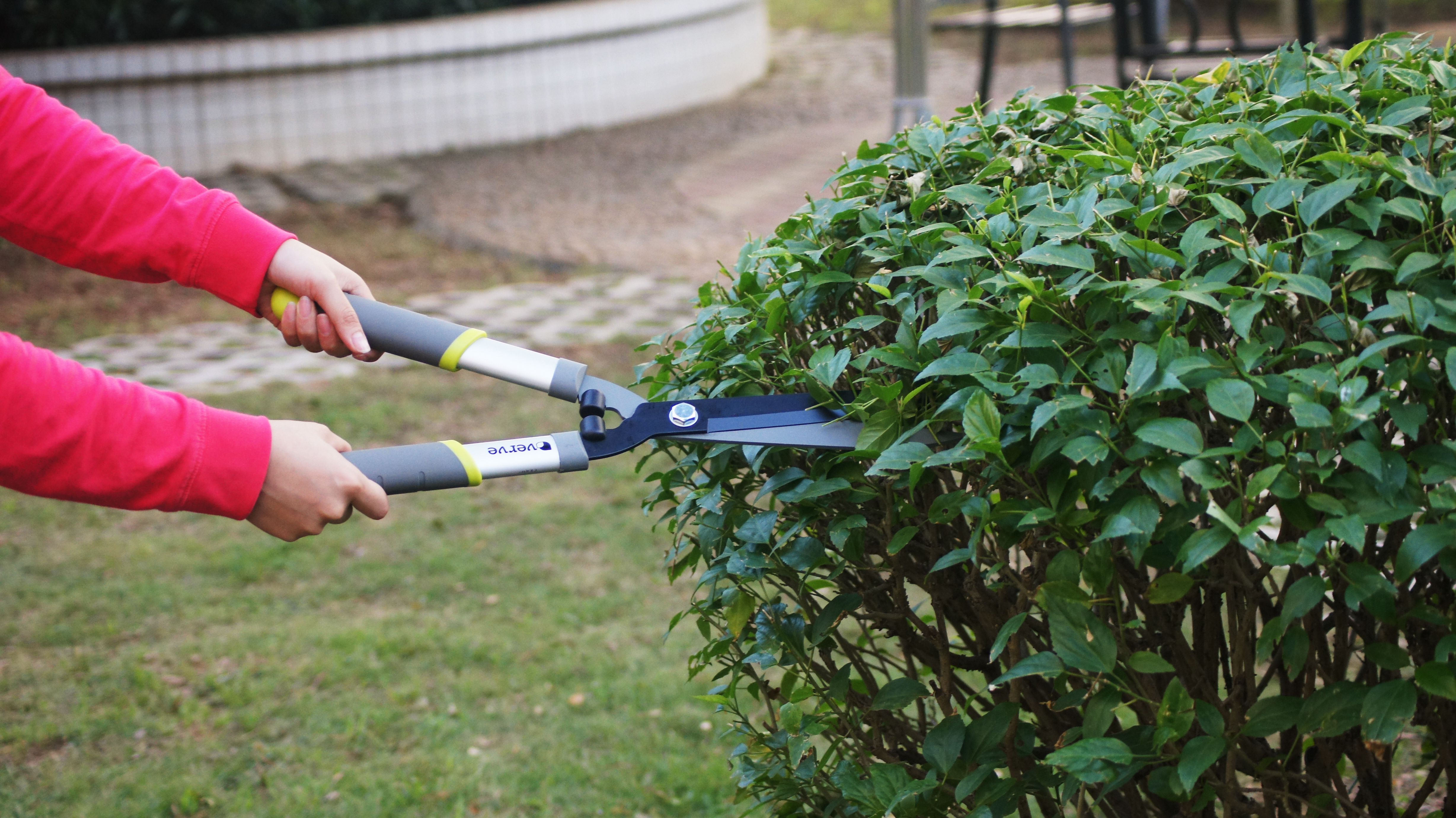 Verve Hedge Shears