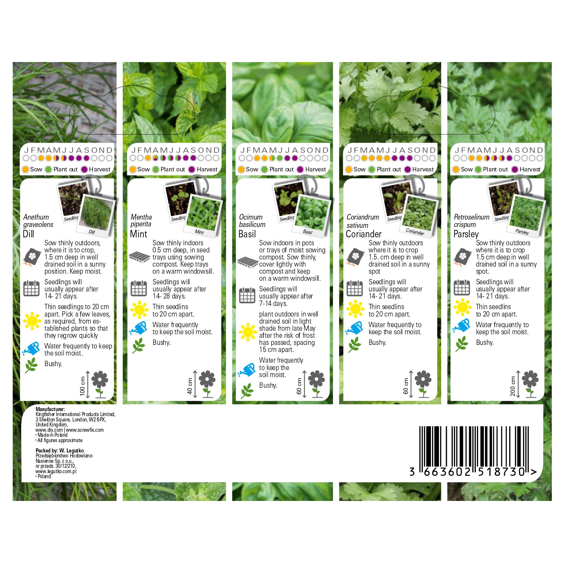 Verve Herb collection Herb Seeds
