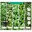 Verve Herb collection Seed