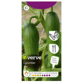 Verve Iwa cucumber Seeds