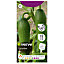 Verve Iwa cucumber Seed