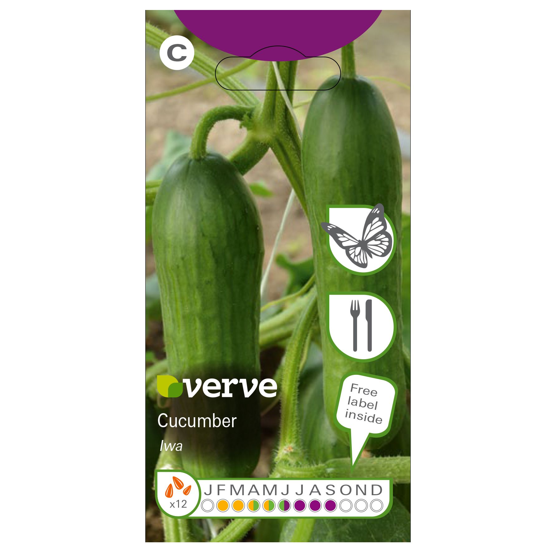 Verve Iwa cucumber Vegetable Seeds