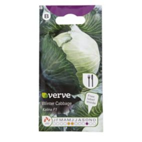 Verve Kalina F1 winter cabbage Vegetable Seeds