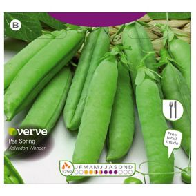 Verve Kelvedon wonder peas Seeds