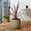 Verve Kulun Beige Knitted effect Fibreclay Round Plant pot (Dia)29cm