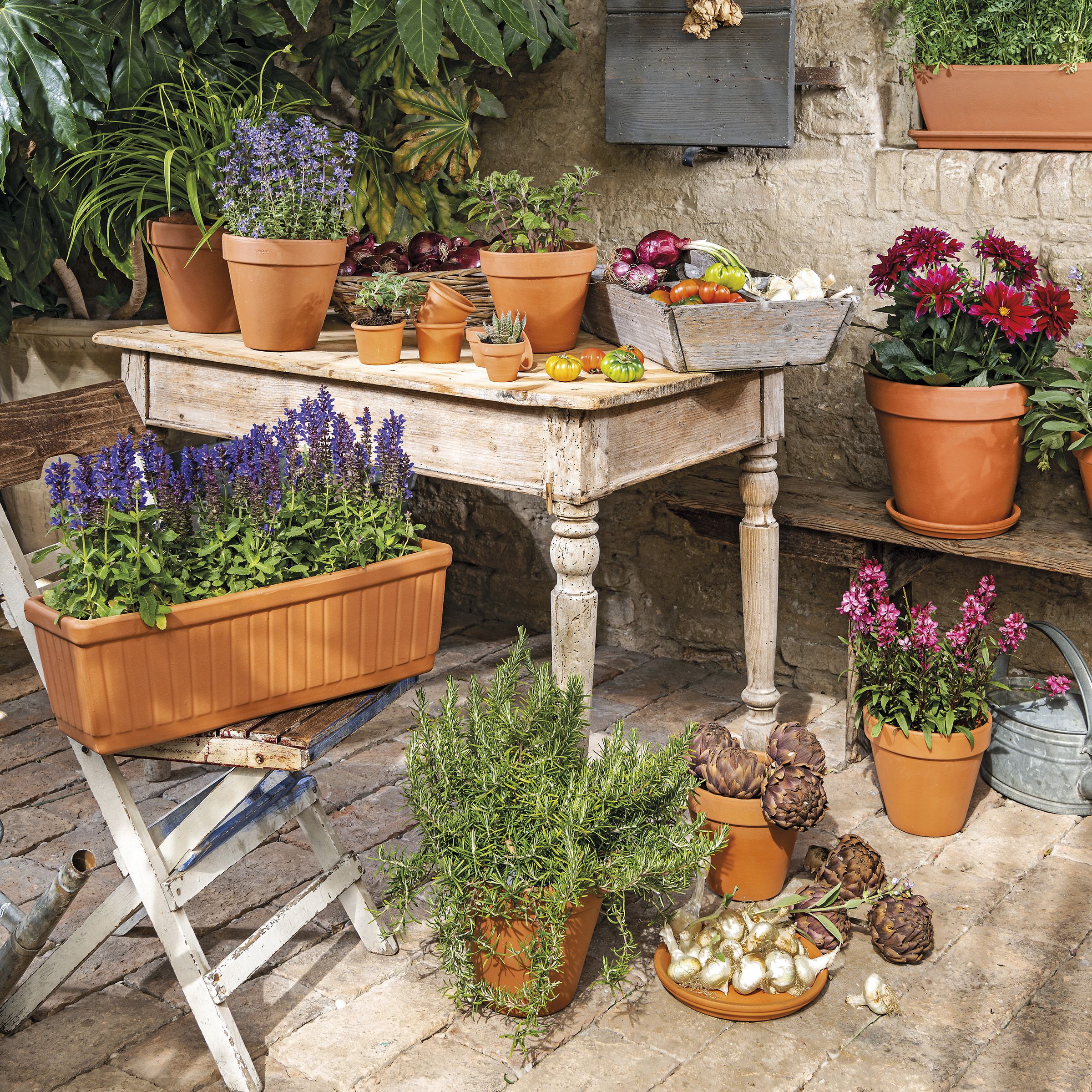 Verve Laleh Brown Terracotta Grow pot (Dia) 23cm, (H)20.3cm, 5L