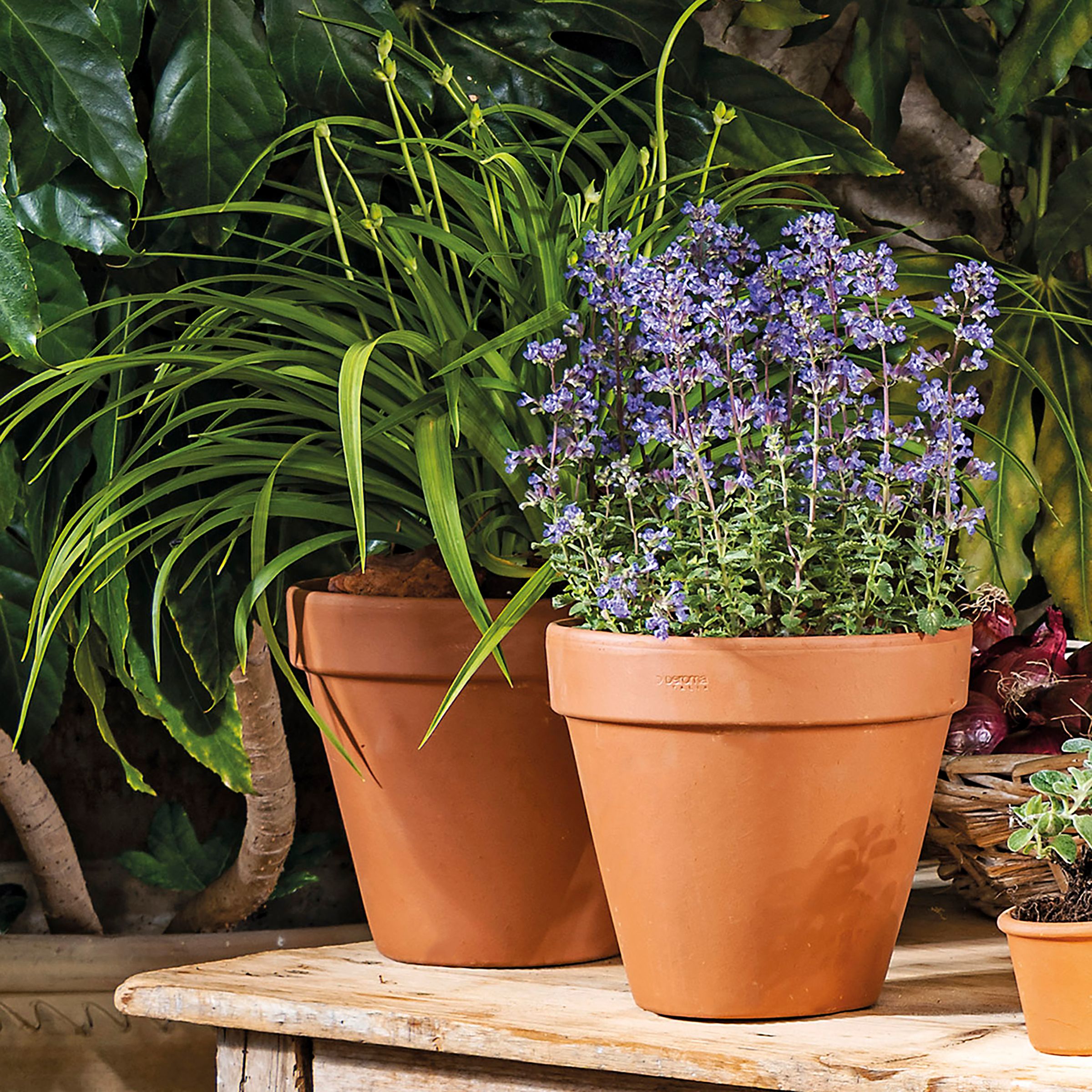 Verve Laleh Brown Terracotta Grow pot (Dia) 23cm, (H)20.3cm, 5L
