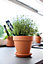 Verve Laleh Terracotta Circular Plant pot (Dia)11.2cm