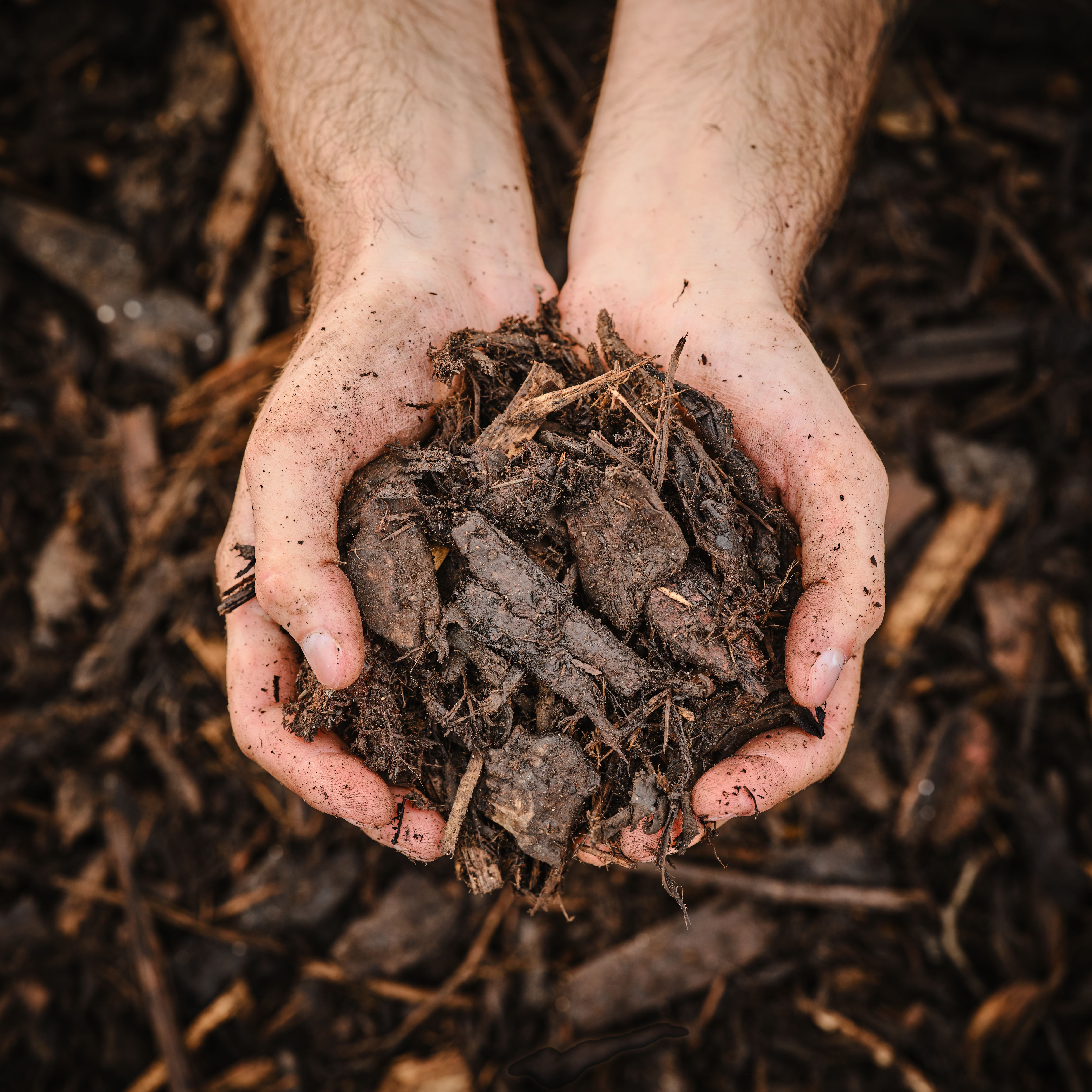 Verve Landscape Dark brown Small Bark chippings 100L Bag