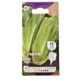 Verve Lentissima a montare 3 lettuce Seeds