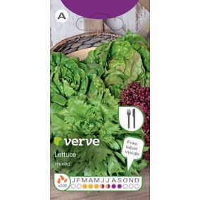 Verve Lettuce mixed Lettuce Seed