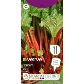 Verve Lider rhubarb Herb Seeds