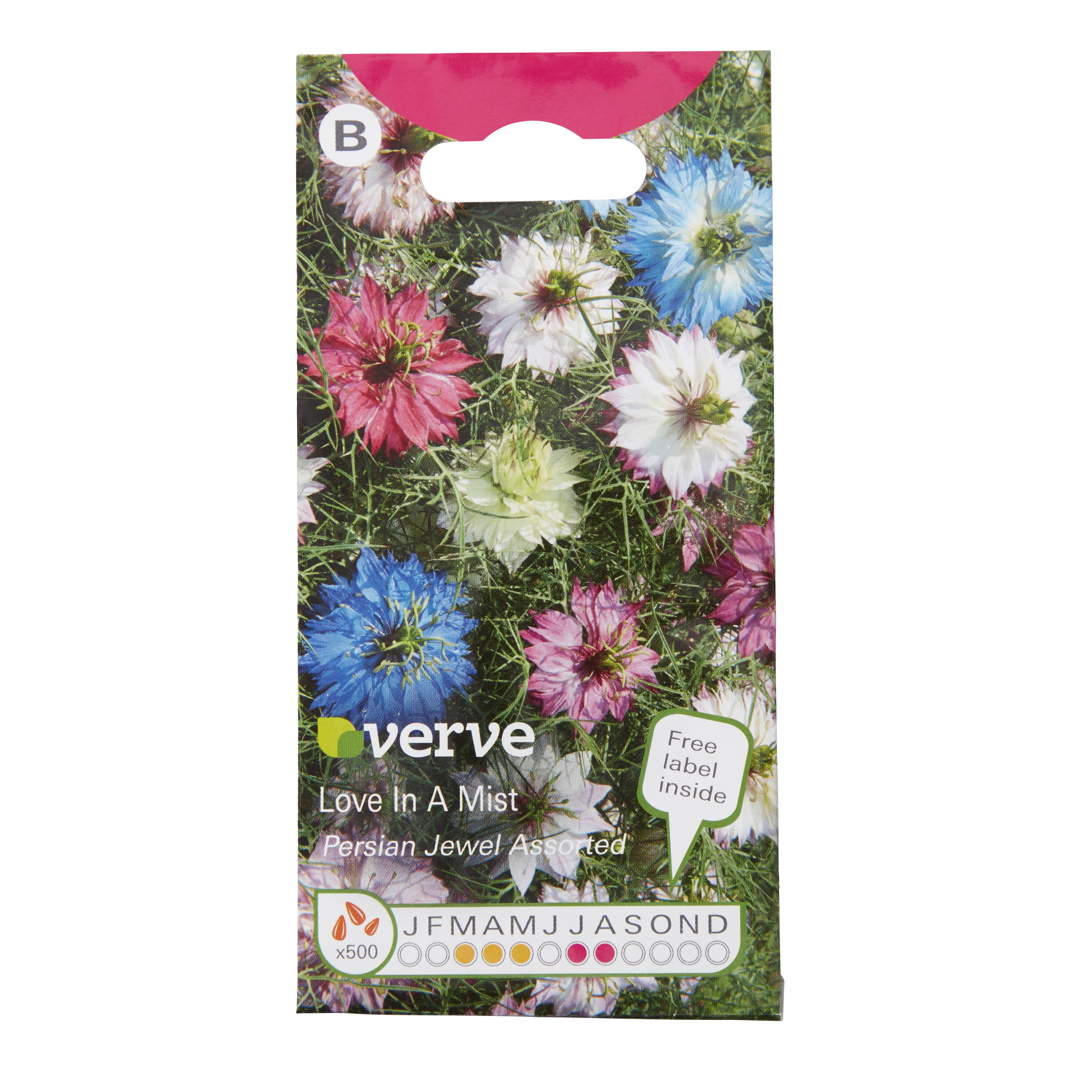 Verve Love in a mist Nigella Seeds