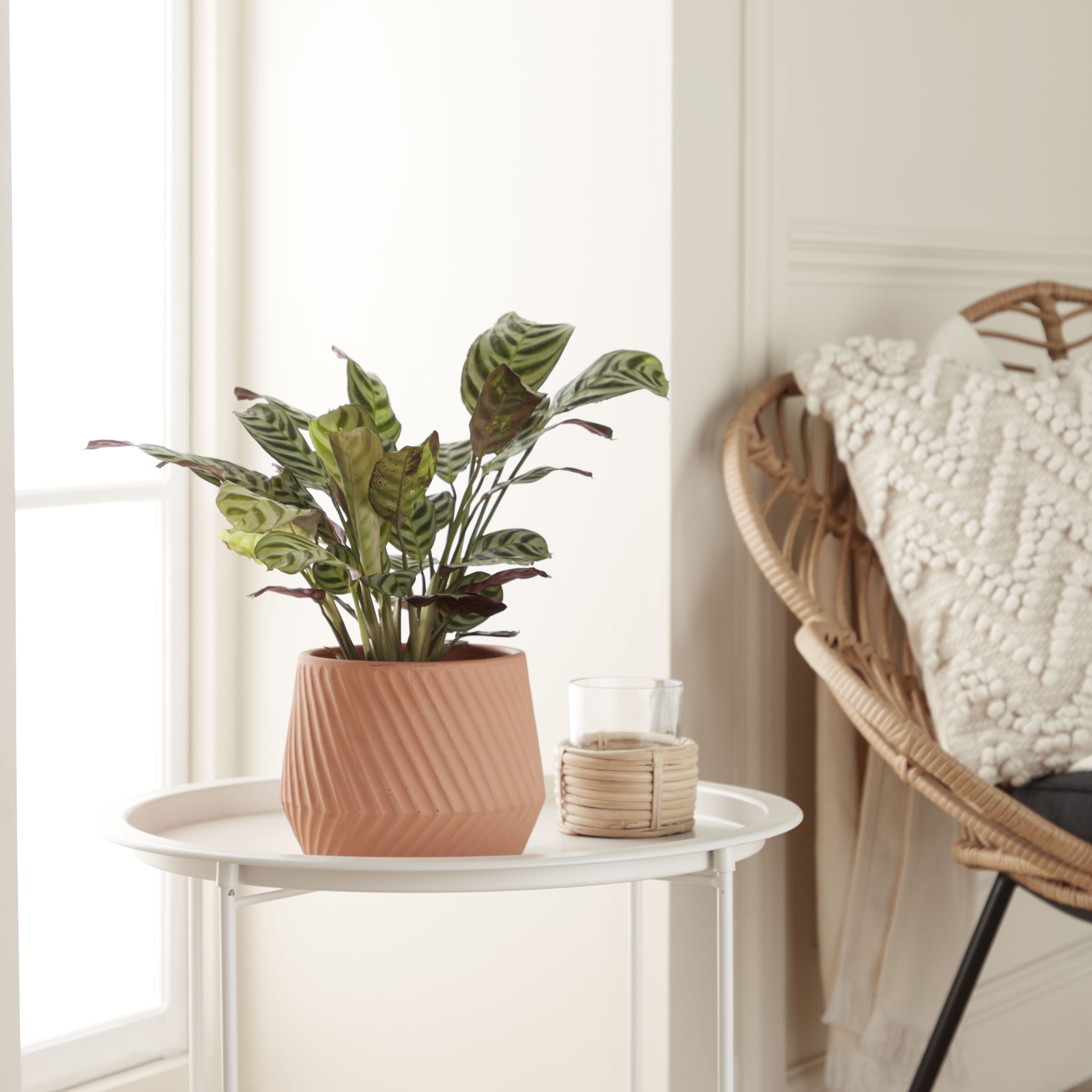 Verve Lummi Slanting stripes Terracotta Plant pot (Dia) 20cm, (H)13cm