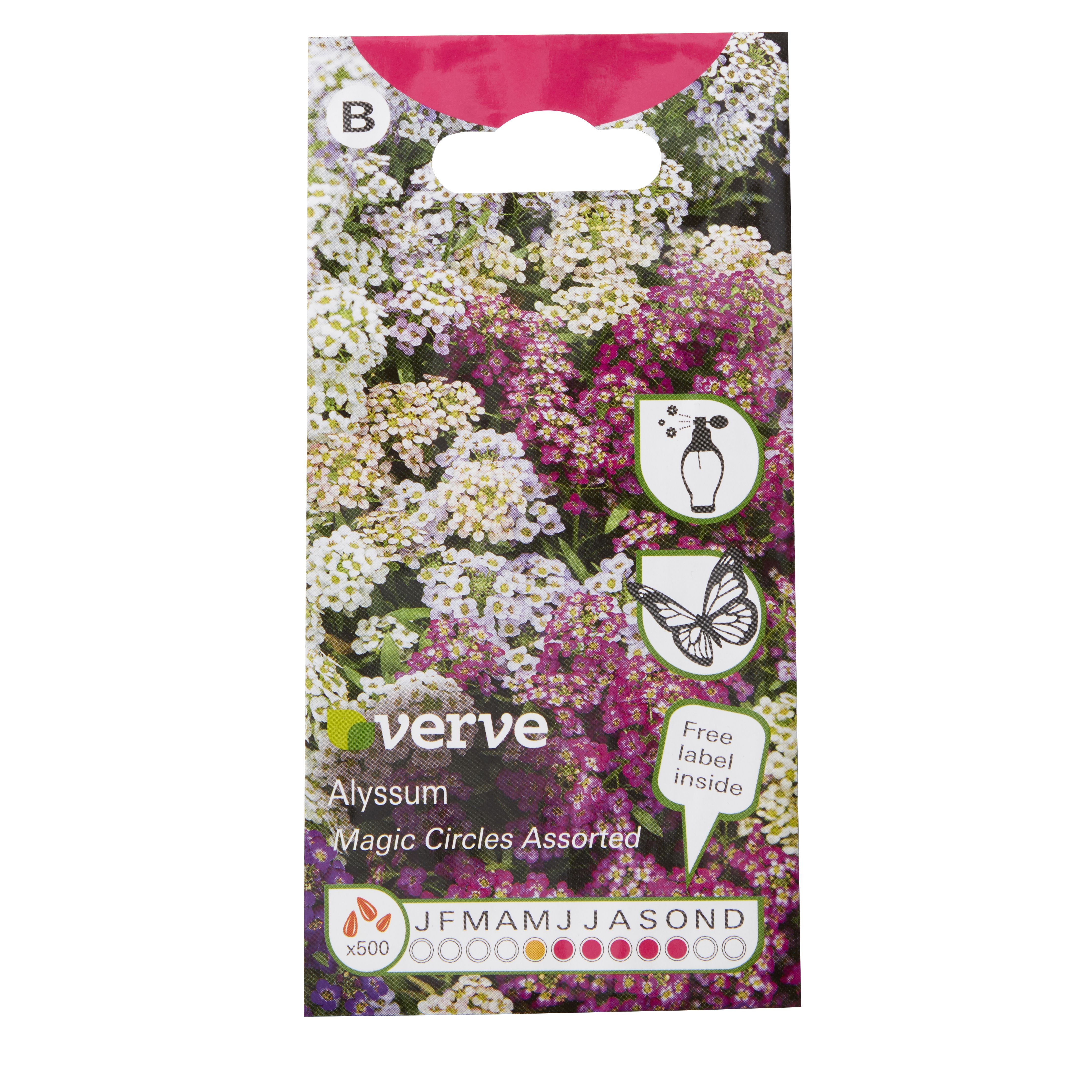 Verve Magic circle Alyssum Seeds