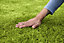 Verve Mamaterra Lawn repair 50m² 1kg