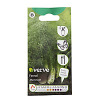 Verve Mammoth fennel Seed