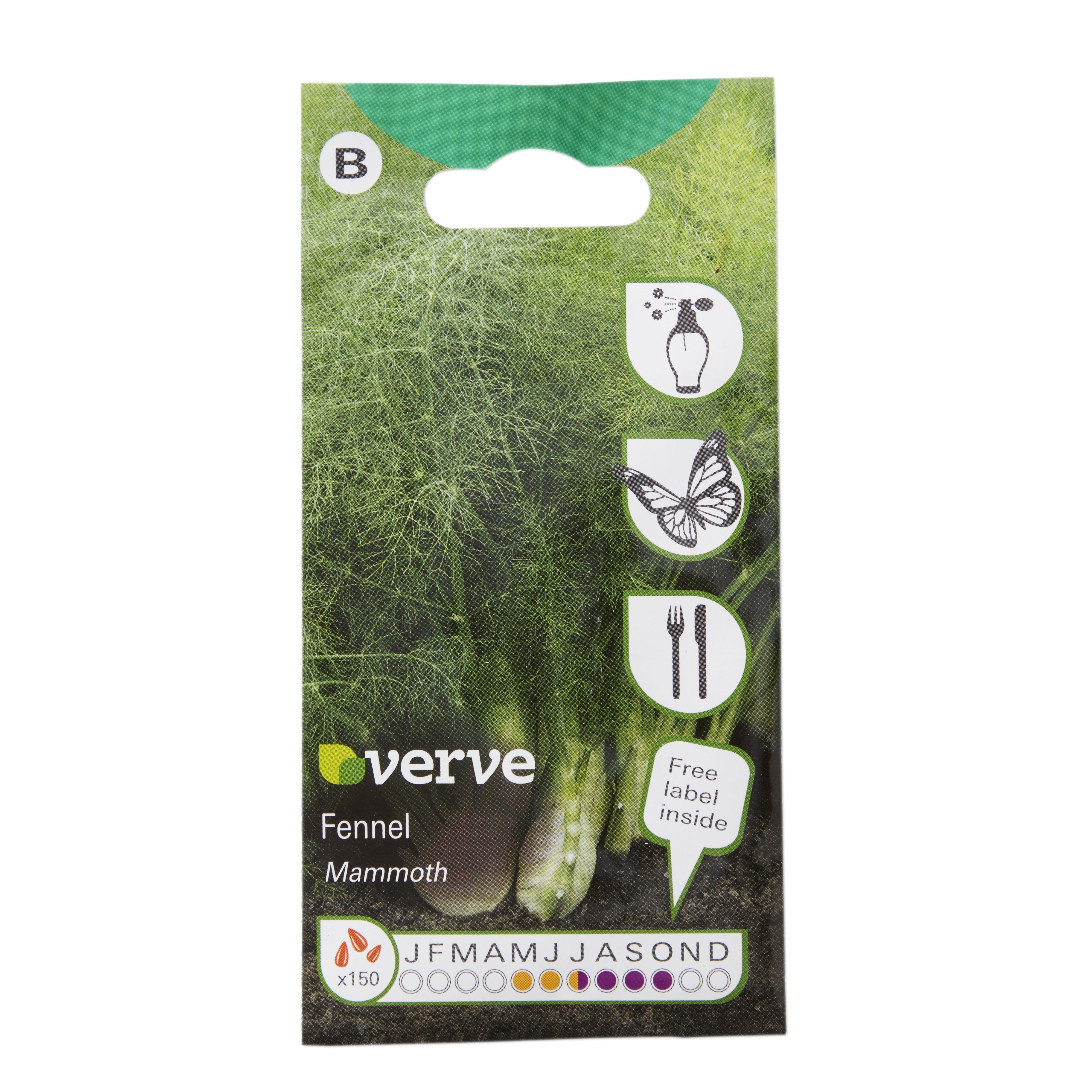 Verve Mammoth fennel Vegetable Seeds