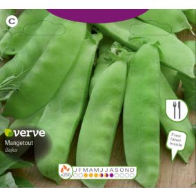 Verve Mangetout bajka Seeds