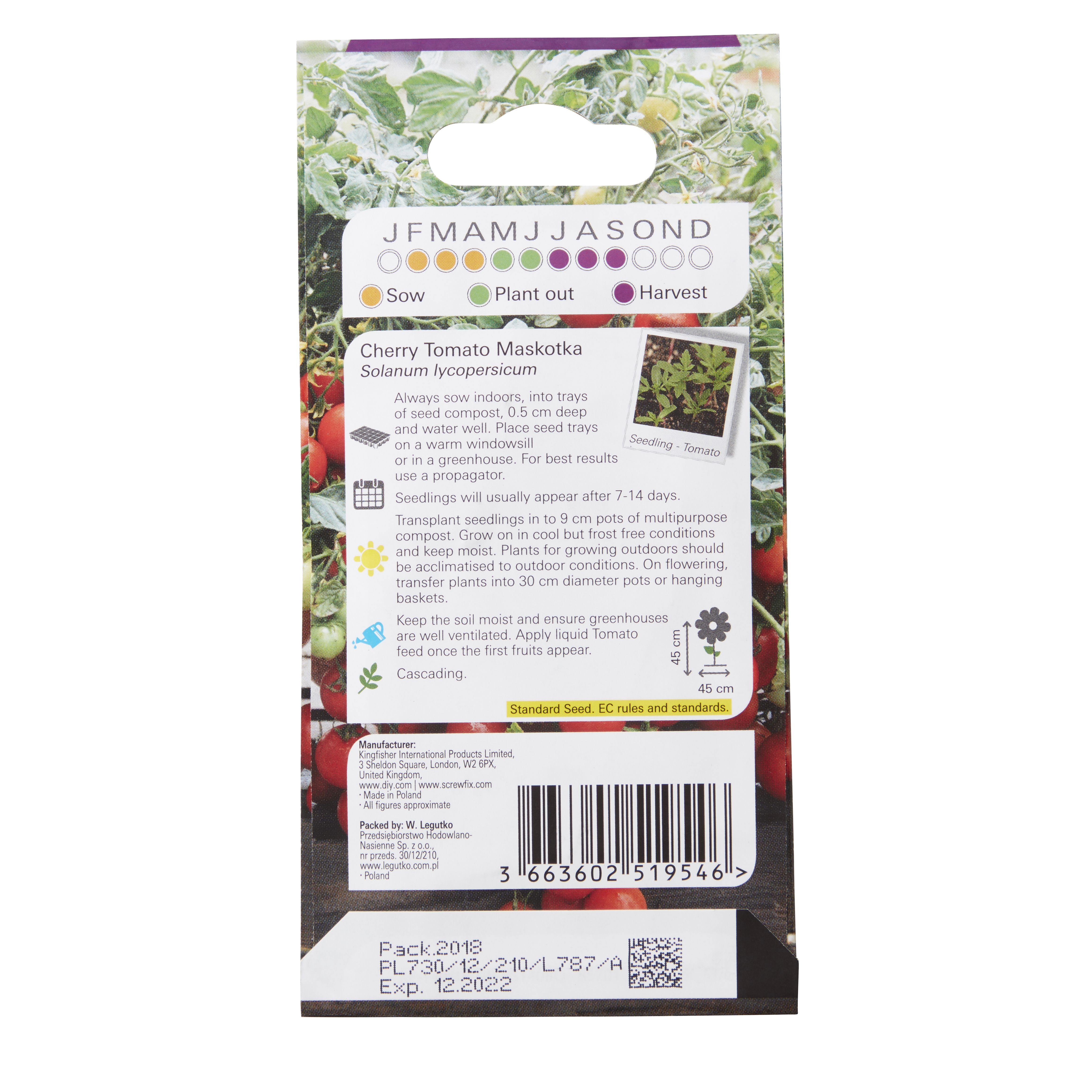 Verve Maskotka cherry tomato Seeds