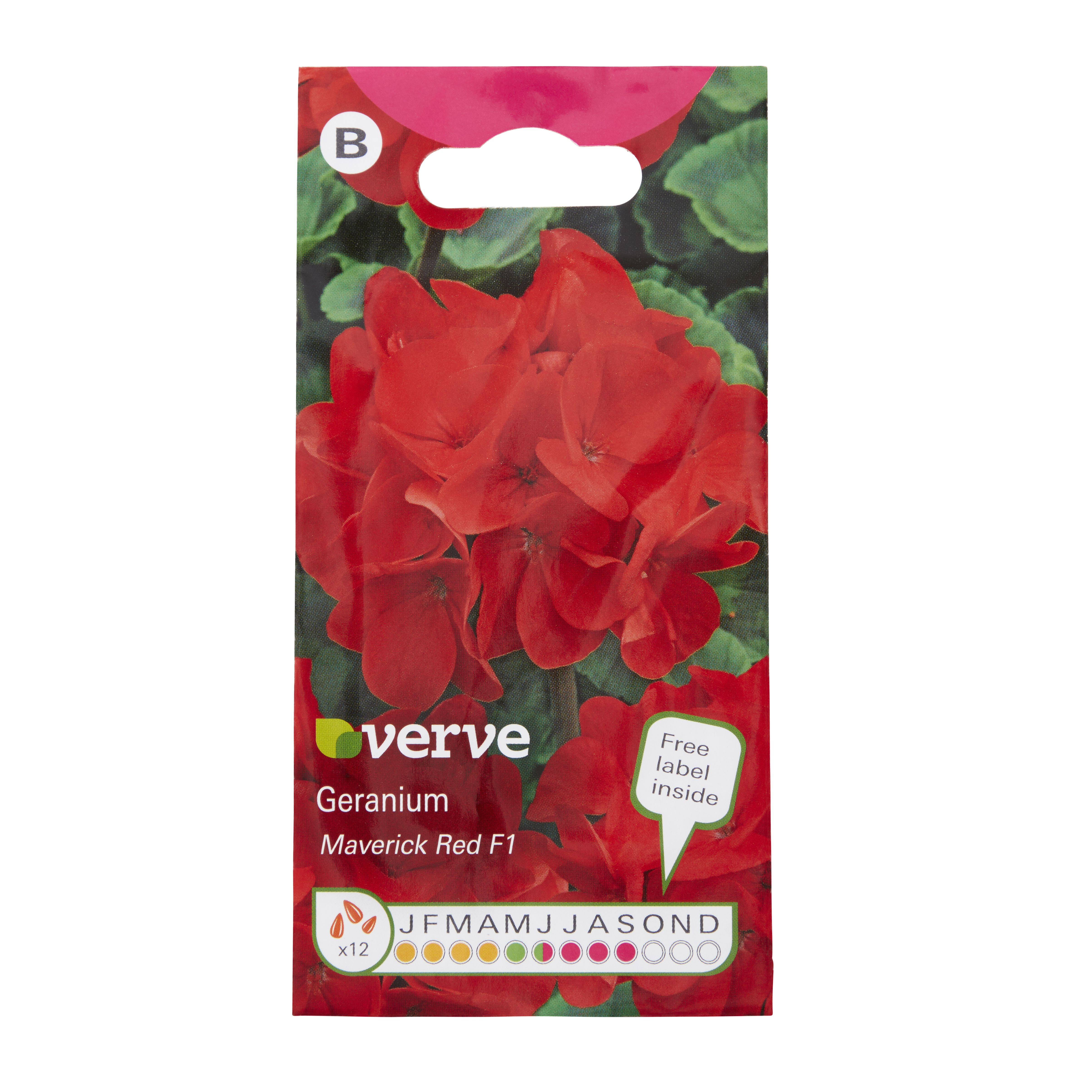 Verve Maverick F1 Geranium Seeds