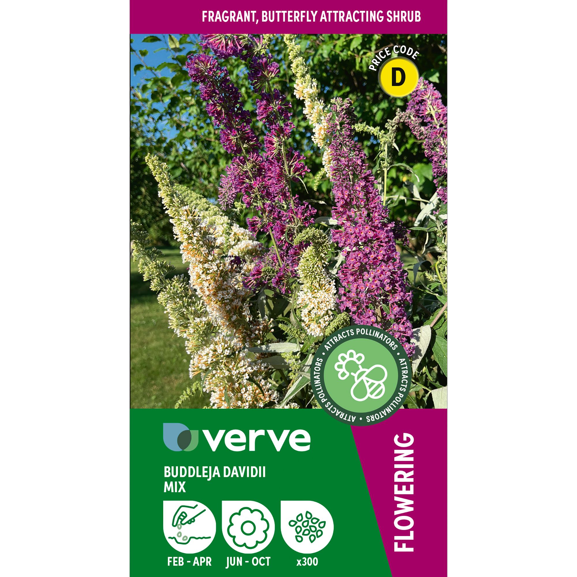 Verve Mix Buddleja davidii Seeds