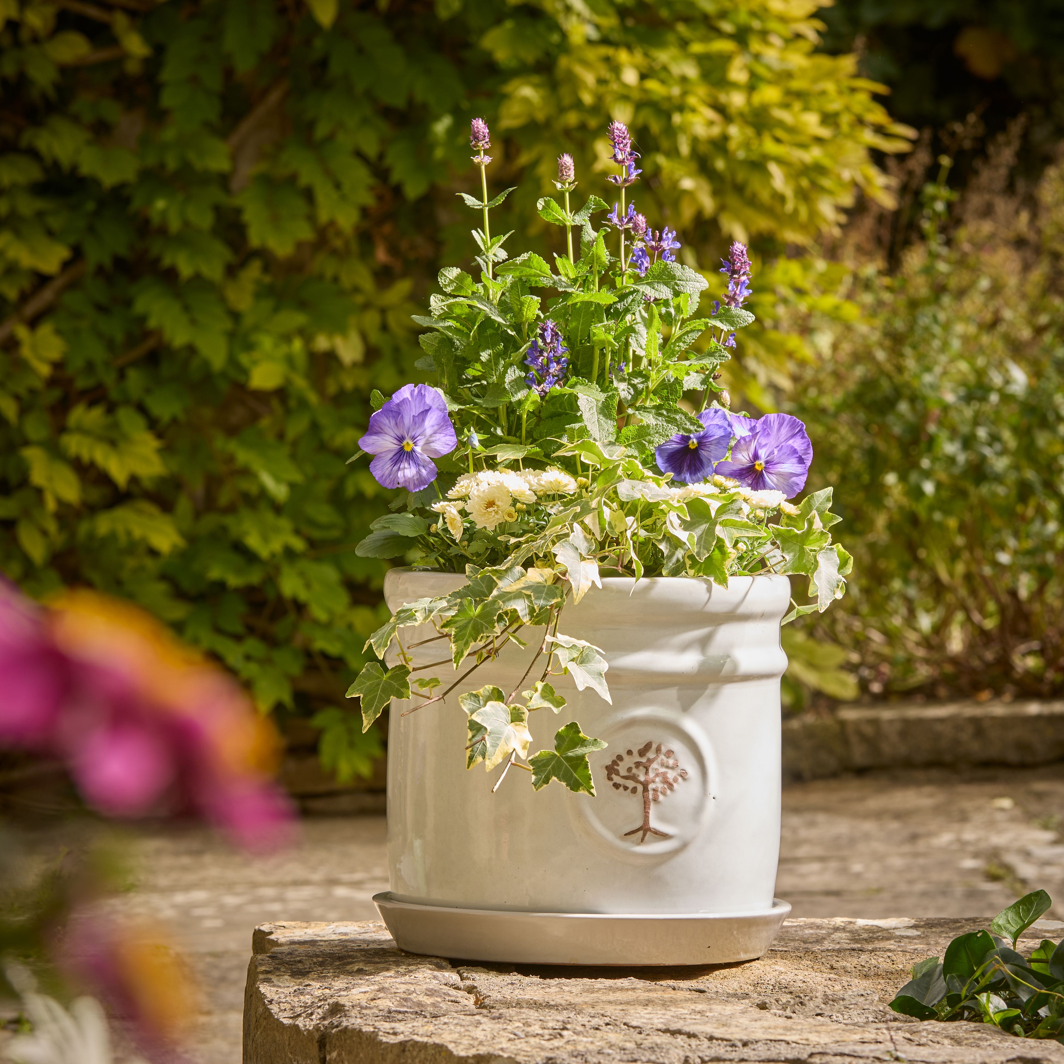 Verve Moon Beam Ceramic Plant pot (Dia) 20cm, (H)18cm, 3L