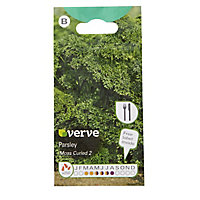 Verve Moss curled 2 parsley Seed